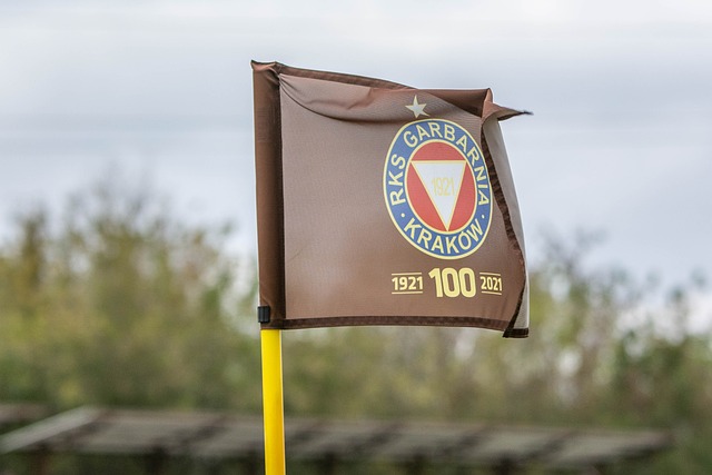 球队应援物 球队应援物