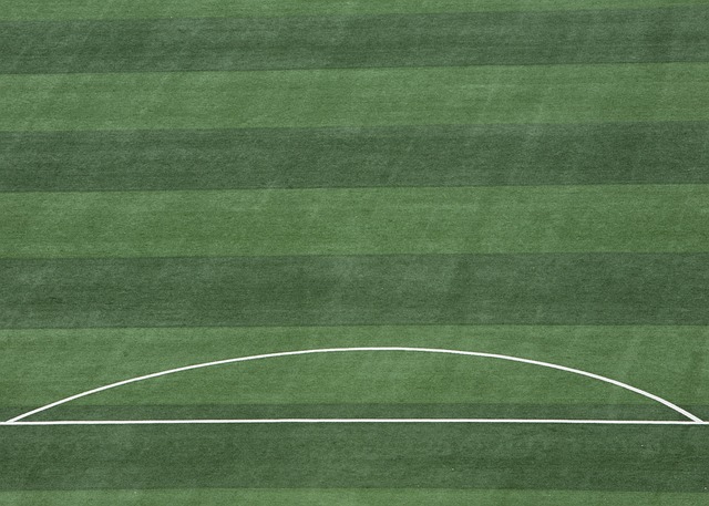 从而在下一 从而在下一