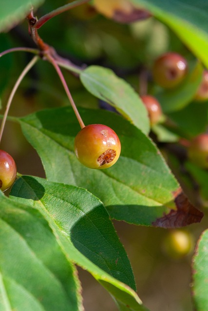 是球队的核 是球队的核