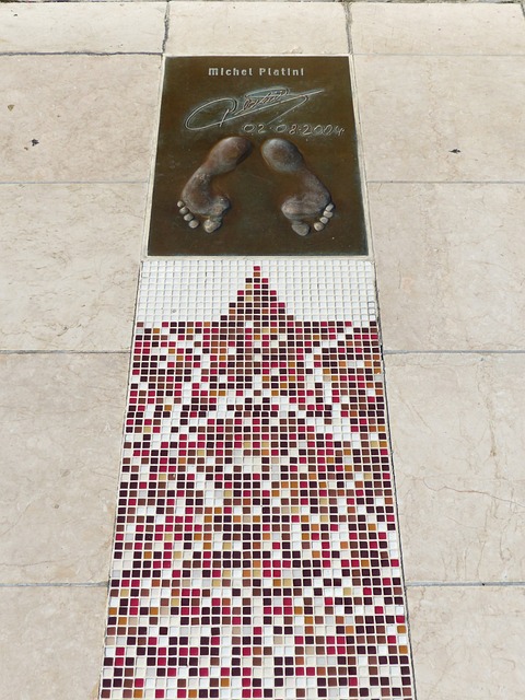 迷的期待中 迷的期待中