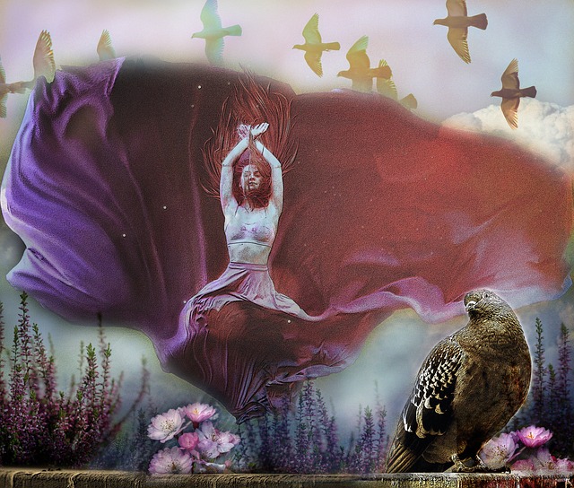 解析双方可 解析双方可